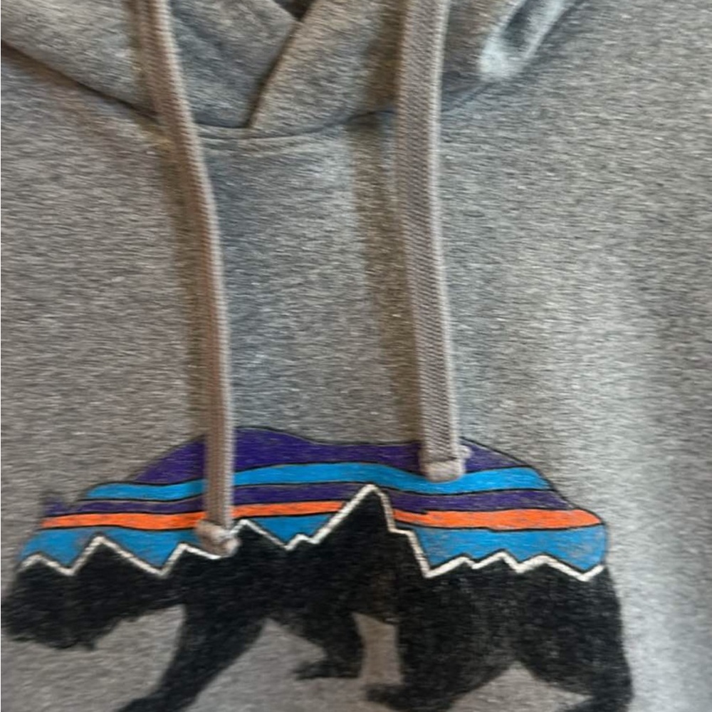 Patagonia Men's Fitz Roy Bear Midweight Hoody - Gray - Picture 3 of 10